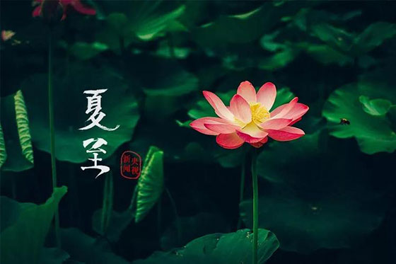 夏至|愿所有期許，如約而至